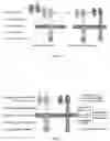 Fig. 02 - Chimeric Antigen Receptor, Construction Method Therefor and Application Thereof