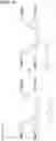 Fig. 28 - Saponin Conjugates