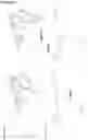 Fig. 35 - Saponin Conjugates