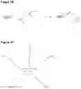 Fig. 40 - Saponin Conjugates