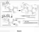Fig. 02 - (BI)METAL SULFIDE POLYMER COMPOSITE MATERIAL, AND ITS USE AS CATALYST FOR HYDROGEN PRODUCTION