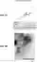 Fig. 07 - GENETICALLY ENCODED ACTUATORS FOR ACOUSTIC MANIPULATION
