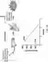 Fig. 19 - MOLECULAR TRANSPORT SYSTEM TO THE CENTRAL NERVOUS SYSTEM