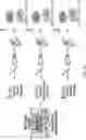 Fig. 25 - MOLECULAR TRANSPORT SYSTEM TO THE CENTRAL NERVOUS SYSTEM