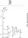 Fig. 31 - MOLECULAR TRANSPORT SYSTEM TO THE CENTRAL NERVOUS SYSTEM
