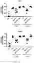 Fig. 12 - Use of Human Resistin as a Trimerization Partner for Expression of Trimeric Proteins