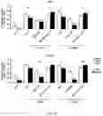 Fig. 14 - Use of Human Resistin as a Trimerization Partner for Expression of Trimeric Proteins