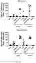 Fig. 16 - Use of Human Resistin as a Trimerization Partner for Expression of Trimeric Proteins
