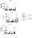 Fig. 17 - Use of Human Resistin as a Trimerization Partner for Expression of Trimeric Proteins