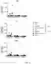 Fig. 18 - Use of Human Resistin as a Trimerization Partner for Expression of Trimeric Proteins