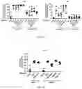 Fig. 20 - Use of Human Resistin as a Trimerization Partner for Expression of Trimeric Proteins