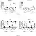 Fig. 21 - Use of Human Resistin as a Trimerization Partner for Expression of Trimeric Proteins