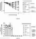 Fig. 22 - Use of Human Resistin as a Trimerization Partner for Expression of Trimeric Proteins