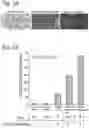 Fig. 02 - METHODS OF TREATING CASTRATE-RESISTANT PROSTATE CANCER