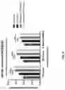Fig. 06 - METHODS AND COMPOSITIONS FOR IMPROVING ENDOTHELIAL CELL BARRIER