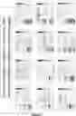 Fig. 04 - DEFECTIVE INTERFERING VIRAL GENOMES