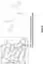 Fig. 20 - DEFECTIVE INTERFERING VIRAL GENOMES