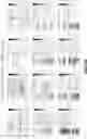 Fig. 24 - DEFECTIVE INTERFERING VIRAL GENOMES