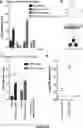 Fig. 31 - DEFECTIVE INTERFERING VIRAL GENOMES