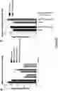 Fig. 32 - DEFECTIVE INTERFERING VIRAL GENOMES