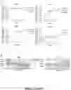 Fig. 36 - DEFECTIVE INTERFERING VIRAL GENOMES