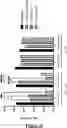 Fig. 68 - DEFECTIVE INTERFERING VIRAL GENOMES
