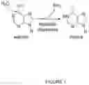 Fig. 02 - TARGETED RNA EDITING USING ENGINEERED ADENOSINE DEAMINASE ACTING ON TRNA (ADAT) SYSTEMS
