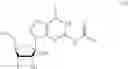 Fig. 09 - REDUCTASE ENZYMES AND PROCESSES FOR MAKING AND USING REDUCTASE ENZYMES