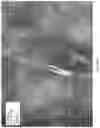 Fig. 366 - Silk Performance Apparel and Products and Methods of Preparing the Same
