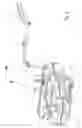 Fig. 09 - Evaporative emissions control for a vehicle