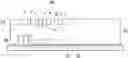 Fig. 01 - Lighting module, lighting device and taillight