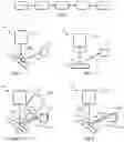 Fig. 02 - JOINT NANOSCALE THREE-DIMENSIONAL IMAGING AND CHEMICAL ANALYSIS
