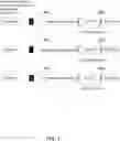 Fig. 02 - Methods for Identifying Modulators of Insect Transient Receptor Potential Channels