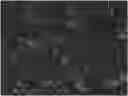 Fig. 01 - Polypeptide for targeting recognition of immune cells and application thereof