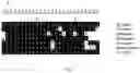 Fig. 02 - Polypeptide for targeting recognition of immune cells and application thereof