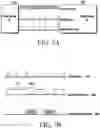 Fig. 09 - Electronic device and method for controlling touch function