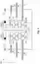 Fig. 09 - Many-to-many PCIE switch