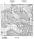 Fig. 05 - Using a first stain to train a model to predict the region stained by a second stain