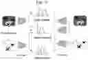 Fig. 06 - REINFORCEMENT LEARNING METHOD AND APPARATUS USING TASK DECOMPOSITION