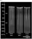 Fig. 08 - Plasma etching method using pentafluoropropanol