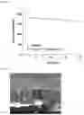Fig. 06 - ALL-SOLID-STATE BATTERY WITH INTERMEDIATE LAYER CONTAINING METAL SULFIDE