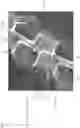 Fig. 05 - STEPPING MOTOR