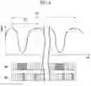Fig. 07 - Wireless communication system, wireless communication apparatus and wireless communication method