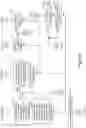 Fig. 07 - METHOD FOR CODING AND AN APPARATUS