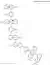 Fig. 65 - Novel Compound and Organic Light Emitting Device Comprising the Same