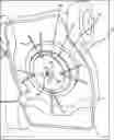 Fig. 01 - Lawnmower String Line Adapter Blade Device
