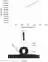 Fig. 06 - NONWOVEN FIBROUS WEBS AND METHODS OF MAKING AND USING THEREOF