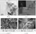 Fig. 02 - Compositions including a vacancy-engineered (VE)-ZnO nanocomposite, methods of making the compositions and methods of using the compositions