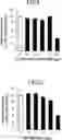 Fig. 06 - FLAVOR COMPOSITION, AND FOOD AND BEVERAGE