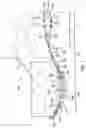 Fig. 02 - ARTICLE OF FOOTWEAR HAVING A SOLE PLATE